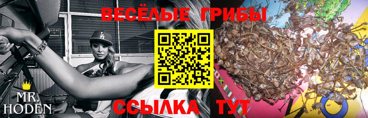 Галлюциногенные грибы MAGIC MUSHROOMS Камень-на-Оби