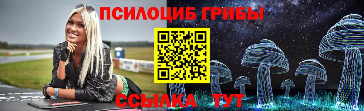 Галлюциногенные грибы мицелий  Вход с VPN  Камень-на-Оби 